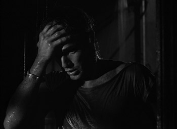 A Streetcar Named Desire (1951) - Two-Disc Special Edition DVD + Blu-ray Disc