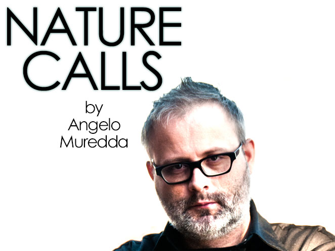 Nature Calls: FFC Interviews Denis Côté|Vic + Flo Saw a Bear (2013)