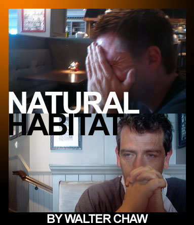 Natural Habitat: FFC Interviews David Michôd & Ben Mendelsohn