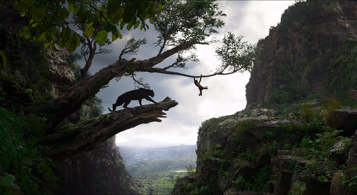 The Jungle Book (2016) - Blu-ray + DVD + Digital HD